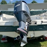 2006 Godfrey Fundeck GS232